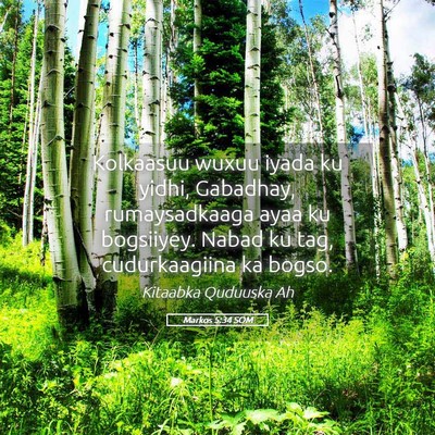 Picture 05 - Markos 5:34 SOM - Kolkaasuu wuxuu iyada ku yidhi, Gabadhay, - Bible Verse Picture