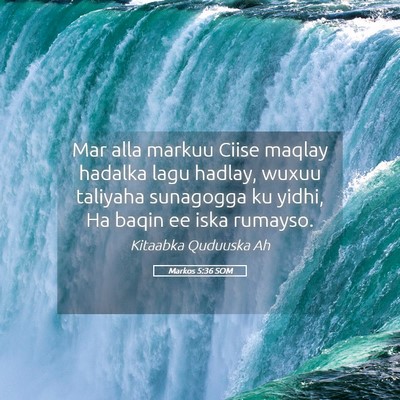 Picture 05 - Markos 5:36 SOM - Mar alla markuu Ciise maqlay hadalka lagu hadlay, - Bible Verse Picture