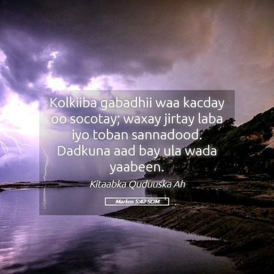 Picture 05 - Markos 5:42 SOM - Kolkiiba gabadhii waa kacday oo socotay; waxay - Bible Verse Picture