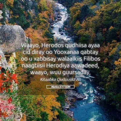 Picture 05 - Markos 6:17 SOM - Waayo, Herodos qudhiisa ayaa cid diray oo - Bible Verse Picture