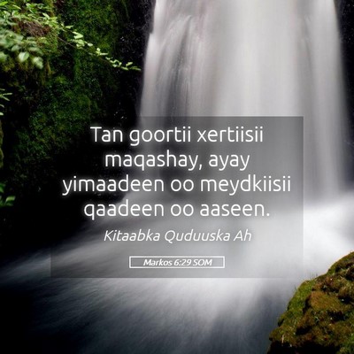 Picture 05 - Markos 6:29 SOM - Tan goortii xertiisii maqashay, ayay yimaadeen oo - Bible Verse Picture