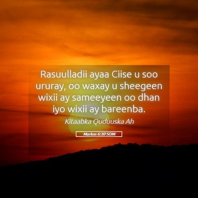 Picture 05 - Markos 6:30 SOM - Rasuulladii ayaa Ciise u soo ururay, oo waxay u - Bible Verse Picture