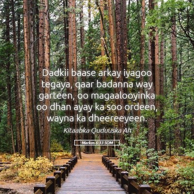 Picture 05 - Markos 6:33 SOM - Dadkii baase arkay iyagoo tegaya, qaar badanna - Bible Verse Picture