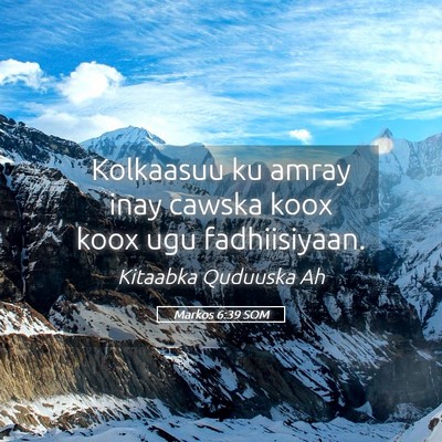 Picture 05 - Markos 6:39 SOM - Kolkaasuu ku amray inay cawska koox koox ugu - Bible Verse Picture