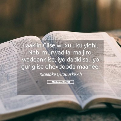 Picture 05 - Markos 6:4 SOM - Laakiin Ciise wuxuu ku yidhi, Nebi murwad la' ma - Bible Verse Picture