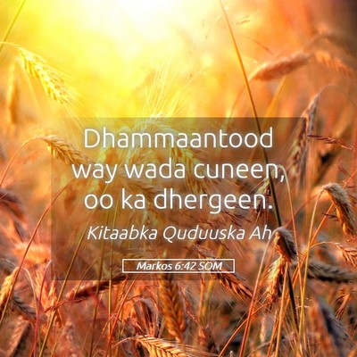 Picture 05 - Markos 6:42 SOM - Dhammaantood way wada cuneen, oo ka - Bible Verse Picture