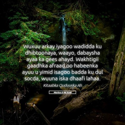 Picture 05 - Markos 6:48 SOM - Wuxuu arkay iyagoo wadidda ku dhibtoonaya, waayo, - Bible Verse Picture