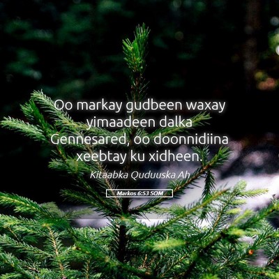 Picture 05 - Markos 6:53 SOM - Oo markay gudbeen waxay yimaadeen dalka - Bible Verse Picture