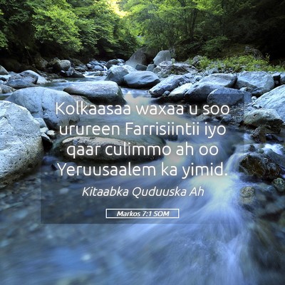 Picture 05 - Markos 7:1 SOM - Kolkaasaa waxaa u soo urureen Farrisiintii iyo - Bible Verse Picture