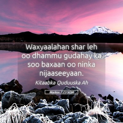 Picture 05 - Markos 7:23 SOM - Waxyaalahan shar leh oo dhammu gudahay ka soo - Bible Verse Picture