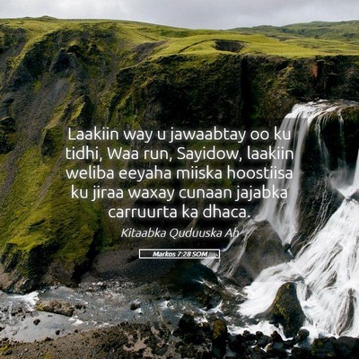 Picture 05 - Markos 7:28 SOM - Laakiin way u jawaabtay oo ku tidhi, Waa run, - Bible Verse Picture