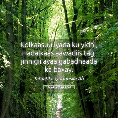 Picture 05 - Markos 7:29 SOM - Kolkaasuu iyada ku yidhi, Hadalkaas aawadiis tag; - Bible Verse Picture