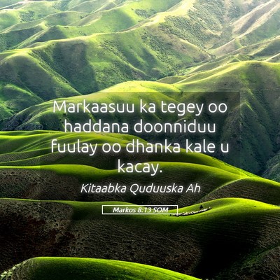 Picture 05 - Markos 8:13 SOM - Markaasuu ka tegey oo haddana doonniduu fuulay oo - Bible Verse Picture