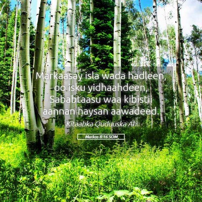 Picture 05 - Markos 8:16 SOM - Markaasay isla wada hadleen, oo isku yidhaahdeen, - Bible Verse Picture