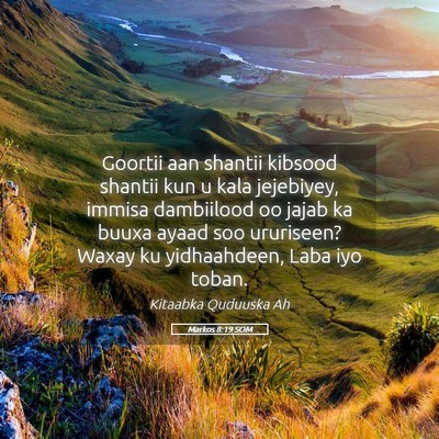 Picture 05 - Markos 8:19 SOM - Goortii aan shantii kibsood shantii kun u kala - Bible Verse Picture