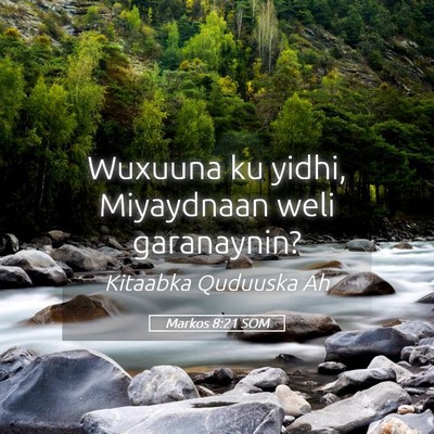 Picture 05 - Markos 8:21 SOM - Wuxuuna ku yidhi, Miyaydnaan weli - Bible Verse Picture