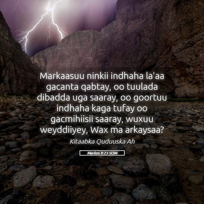 Picture 05 - Markos 8:23 SOM - Markaasuu ninkii indhaha la'aa gacanta qabtay, oo - Bible Verse Picture