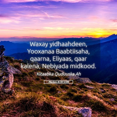 Picture 05 - Markos 8:28 SOM - Waxay yidhaahdeen, Yooxanaa Baabtiisaha, qaarna, - Bible Verse Picture