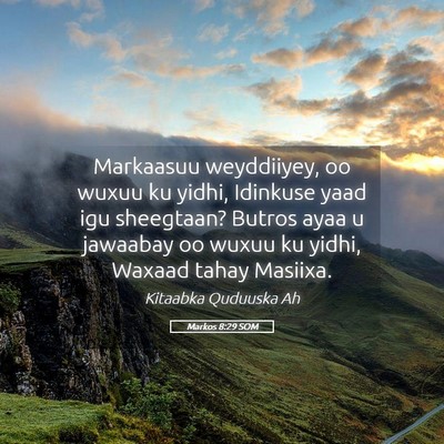 Picture 05 - Markos 8:29 SOM - Markaasuu weyddiiyey, oo wuxuu ku yidhi, Idinkuse - Bible Verse Picture