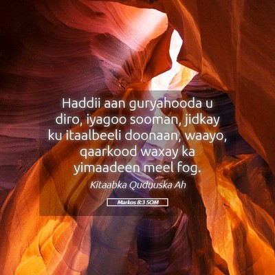Picture 05 - Markos 8:3 SOM - Haddii aan guryahooda u diro, iyagoo sooman, - Bible Verse Picture