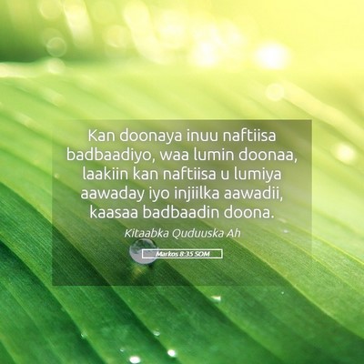 Picture 05 - Markos 8:35 SOM - Kan doonaya inuu naftiisa badbaadiyo, waa lumin - Bible Verse Picture