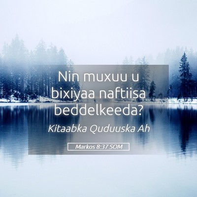 Picture 05 - Markos 8:37 SOM - Nin muxuu u bixiyaa naftiisa - Bible Verse Picture