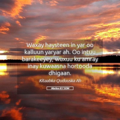 Picture 05 - Markos 8:7 SOM - Waxay haysteen in yar oo kalluun yaryar ah. Oo - Bible Verse Picture