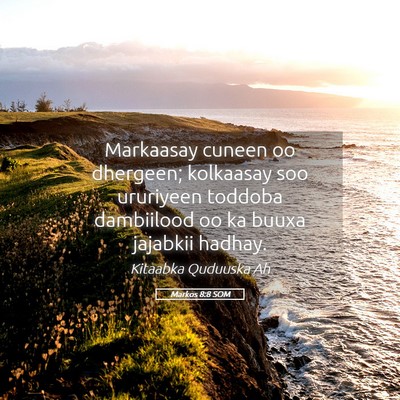 Picture 05 - Markos 8:8 SOM - Markaasay cuneen oo dhergeen; kolkaasay soo - Bible Verse Picture