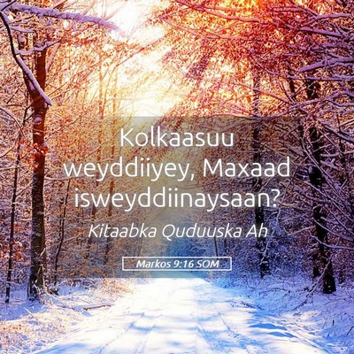 Picture 05 - Markos 9:16 SOM - Kolkaasuu weyddiiyey, Maxaad - Bible Verse Picture
