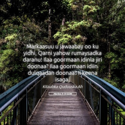 Picture 05 - Markos 9:19 SOM - Markaasuu u jawaabay oo ku yidhi, Qarni yahow - Bible Verse Picture
