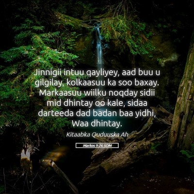 Picture 05 - Markos 9:26 SOM - Jinnigii intuu qayliyey, aad buu u gilgilay, - Bible Verse Picture