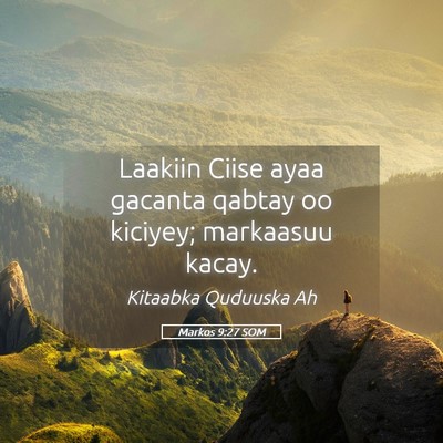 Picture 05 - Markos 9:27 SOM - Laakiin Ciise ayaa gacanta qabtay oo kiciyey; - Bible Verse Picture