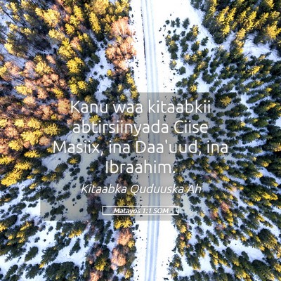 Picture 05 - Matayos 1:1 SOM - Kanu waa kitaabkii abtirsiinyada Ciise Masiix, - Bible Verse Picture