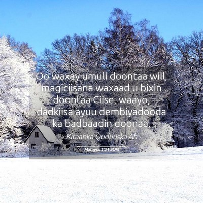 Picture 05 - Matayos 1:21 SOM - Oo waxay umuli doontaa wiil, magiciisana waxaad u - Bible Verse Picture