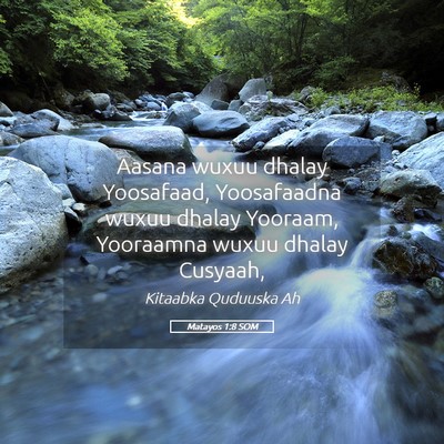Picture 05 - Matayos 1:8 SOM - Aasana wuxuu dhalay Yoosafaad, Yoosafaadna wuxuu - Bible Verse Picture
