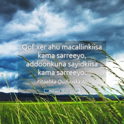 Picture 05 - Matayos 10:24 SOM - Qof xer ahu macallinkiisa kama sarreeyo, - Bible Verse Picture