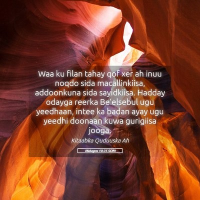Picture 05 - Matayos 10:25 SOM - Waa ku filan tahay qof xer ah inuu noqdo sida - Bible Verse Picture