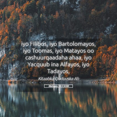 Picture 05 - Matayos 10:3 SOM - iyo Filibos, iyo Bartolomayos, iyo Toomas, iyo - Bible Verse Picture