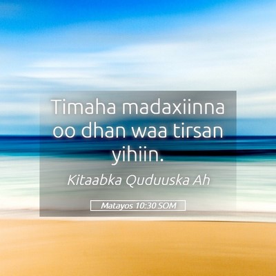 Picture 05 - Matayos 10:30 SOM - Timaha madaxiinna oo dhan waa tirsan - Bible Verse Picture