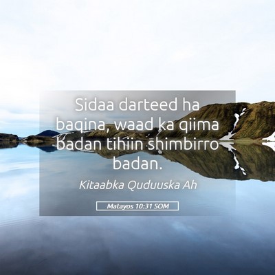 Picture 05 - Matayos 10:31 SOM - Sidaa darteed ha baqina, waad ka qiima badan - Bible Verse Picture