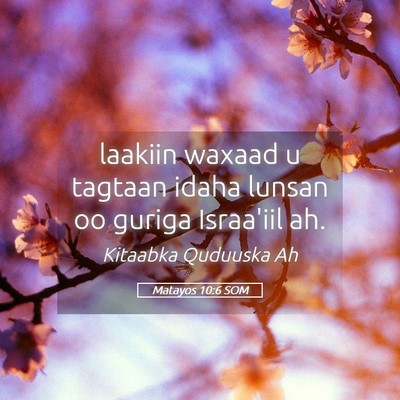 Picture 05 - Matayos 10:6 SOM - laakiin waxaad u tagtaan idaha lunsan oo guriga - Bible Verse Picture