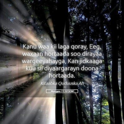 Picture 05 - Matayos 11:10 SOM - Kanu waa kii laga qoray, Eeg, waxaan hortaada soo - Bible Verse Picture