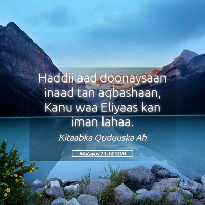 Picture 05 - Matayos 11:14 SOM - Haddii aad doonaysaan inaad tan aqbashaan, Kanu - Bible Verse Picture