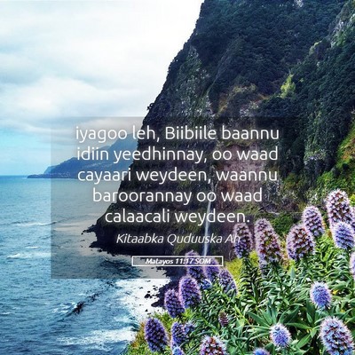 Picture 05 - Matayos 11:17 SOM - iyagoo leh, Biibiile baannu idiin yeedhinnay, oo - Bible Verse Picture