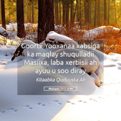 Picture 05 - Matayos 11:2 SOM - Goortii Yooxanaa xabsiga ka maqlay shuqulladii - Bible Verse Picture