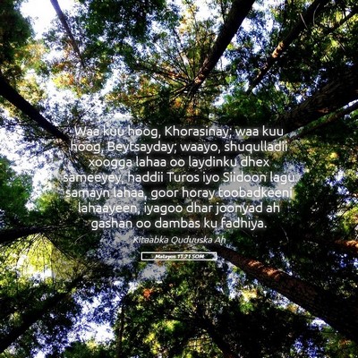 Picture 05 - Matayos 11:21 SOM - Waa kuu hoog, Khorasinay; waa kuu hoog, - Bible Verse Picture