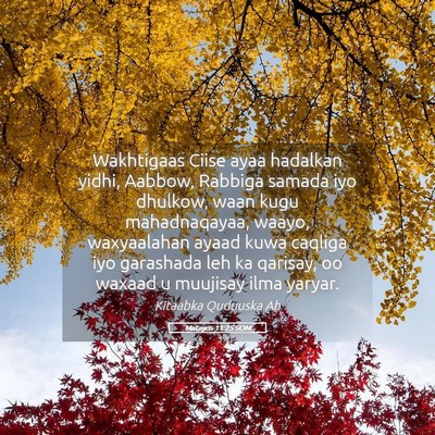 Picture 05 - Matayos 11:25 SOM - Wakhtigaas Ciise ayaa hadalkan yidhi, Aabbow, - Bible Verse Picture