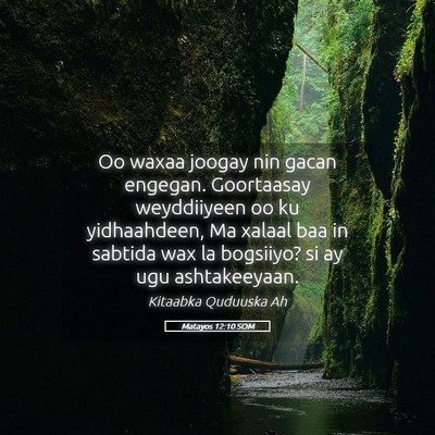 Picture 05 - Matayos 12:10 SOM - Oo waxaa joogay nin gacan engegan. Goortaasay - Bible Verse Picture