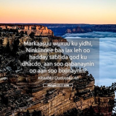Picture 05 - Matayos 12:11 SOM - Markaasuu wuxuu ku yidhi, Ninkiinnee baa lax leh - Bible Verse Picture