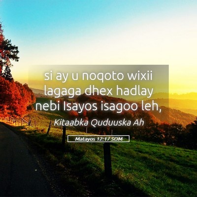 Picture 05 - Matayos 12:17 SOM - si ay u noqoto wixii lagaga dhex hadlay nebi - Bible Verse Picture